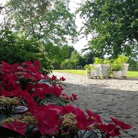 Country House Clos Des Hortensias Blegny Exterior foto